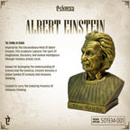 Albert Einstein: The Symbol of Genius